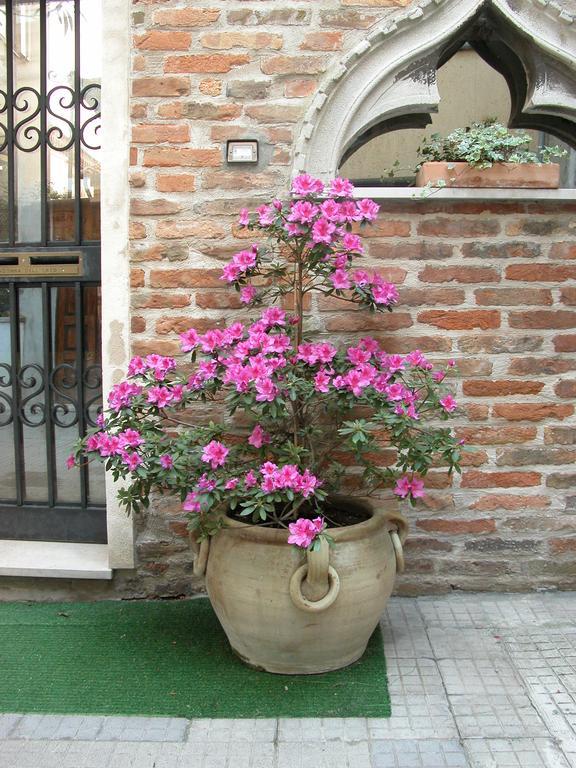 Al Campanile Madonna Dell'Orto Lejlighed Venedig Eksteriør billede